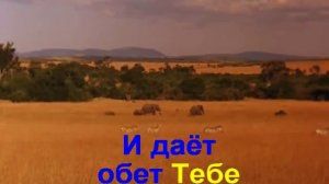 Гимны Надежды - 293. У реки, у Иордана