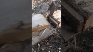 Топливные брикеты из навоза,машинка для изготовление брикетов из навоза,в Армении