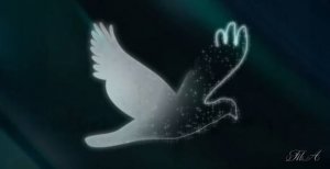 Дождь на двоих Джеффа Роуланда.