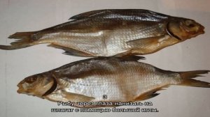 Как вялить рыбу