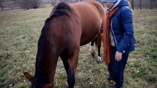 К черту все! Продали коз! Продолжается ли стройка?. Она ждала этого вечность. смотреть онлайн