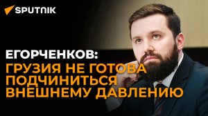 Власти Грузии трезво оценивают ситуацию – российский политолог о шуме вокруг закона об «иноагентах»