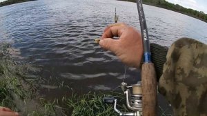 Ловим судака на пенопласт , а леща на сало