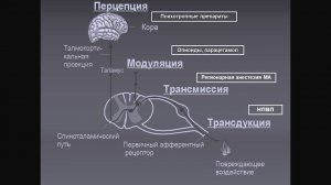 Мультимодальная анальгезия