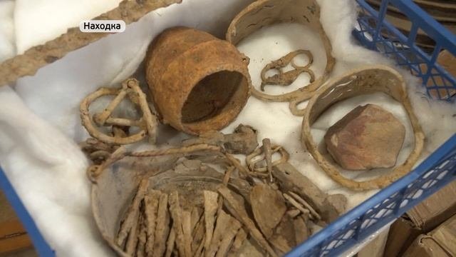 Копать и изучать. Как юные археологи совершают исторические открытия