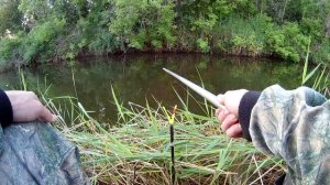 Ловля плотвы на мах, летом на малой реке!!!