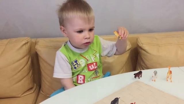 Дикие животные. Животные Африки.