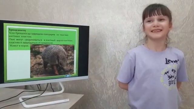 Исследовательская работа на тему: удивительный мир животных смотреть онлайн