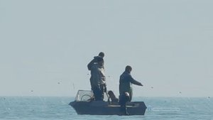 Рыбалка на сетки под Арабатской стрелкой в Геническе