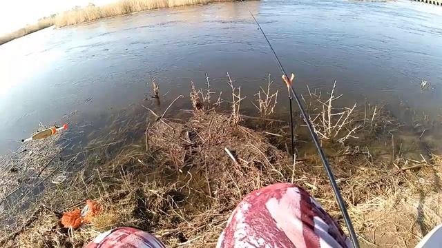03.05.2022 Песчанские шлюзы Летняя рыбалка на поплавок на чебака