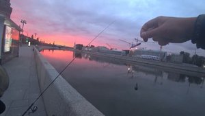Стритфишинг на Москва-реке. Ночная рыбалка со спиннингом.  Открытие сезона.