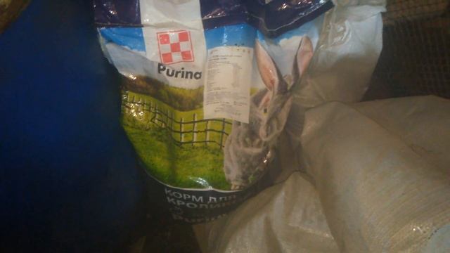 Взвешивание кроликов через месяц после кормления пуриной. 03.03.2019. смотреть онлайн