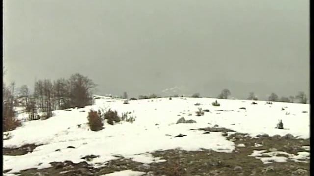 Командир русских добровольцев Ас стреляет тромблоном смотреть онлайн