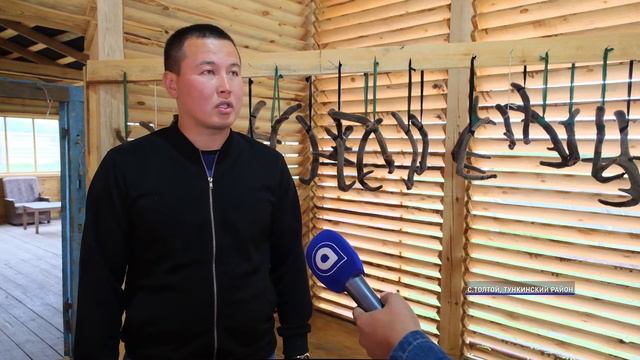 Пантовый бизнес в Тунке. У местных мараловодов амбициозные планы смотреть онлайн