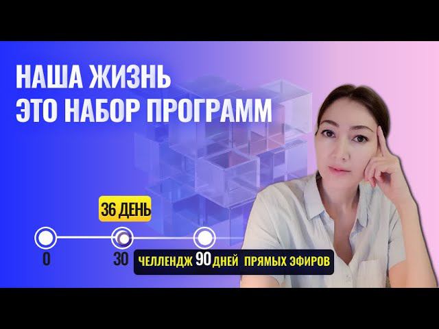 Программы по которым мы живём