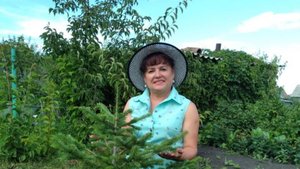Светлана Синченко "Ёлочки зелёные, три сосны" (музыка и слова Ирины Скибиной)