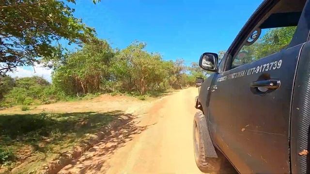 ШРИ-ЛАНКА/САФАРИ, ЯЛА ПАРК, САВАННА, СЛОНЫ, БУЙВОЛЫ И ДРУГАЯ ЖИВНОСТЬ. смотреть онлайн