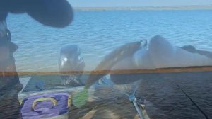 Рыбалка осенью на щуку