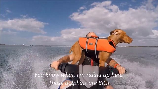 Maggie  Alex on new 2018 Yamaha FX SVHO 2 23 18