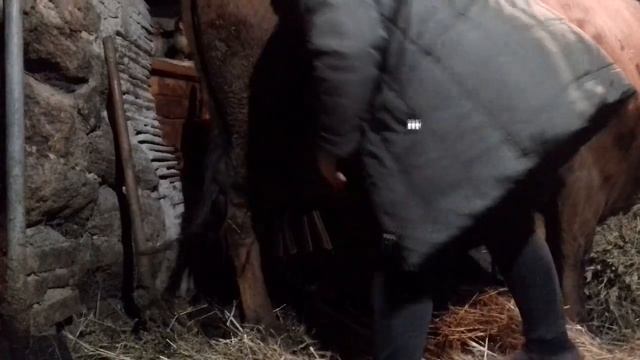 ДОЙКА КОРОВЫ 1 ЧАСТЬ ? смотреть онлайн