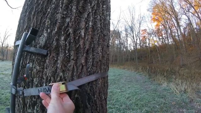 Ступени для поднятия на дерево для охоты с луком с тристенда смотреть онлайн