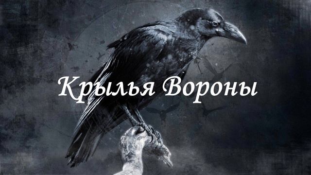 Канал ворона. Чёрный ворон сериал смотреть бесплатно в хорошем качестве. Фильм ворона смотреть онлайн бесплатно.