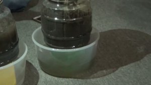 Олег Васильевич Новичихин показывает результаты опыта