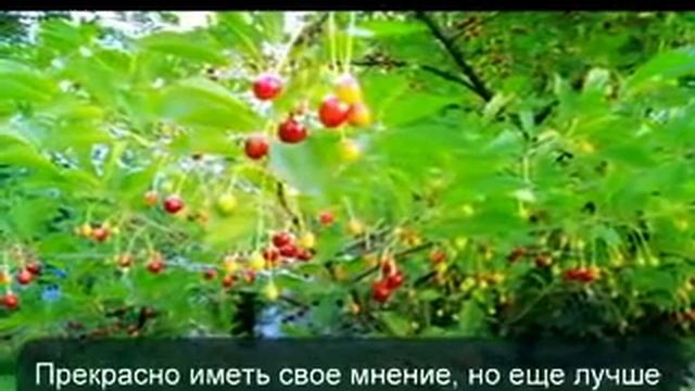 Книга «Я - супер МАМА!»: аудио советы молодым родителям