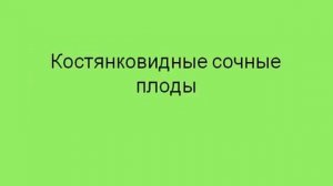 Типы плодов.AVI