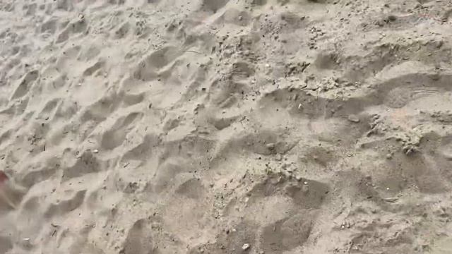 Солнце и вода- наши лучшие друзья! смотреть онлайн