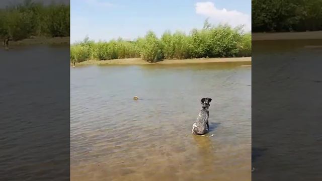 Лето 22.ЮМР. ВОДНЫЕ ПРОЦЕДУРЫ