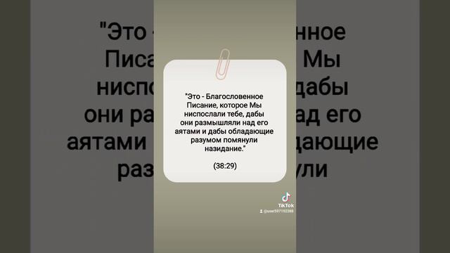 #знания #счастье #ислам #islam #вера #иман #коран #хадис #сунна #жизнь #религия #писание #канал