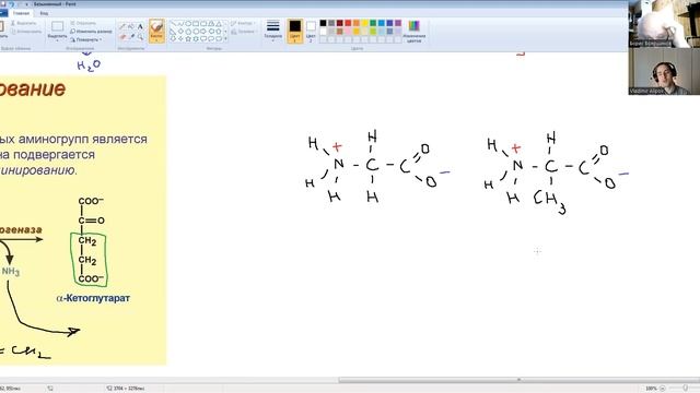 Структура белка молекулярная биология с Алиповым (лекция 8) смотреть онлайн