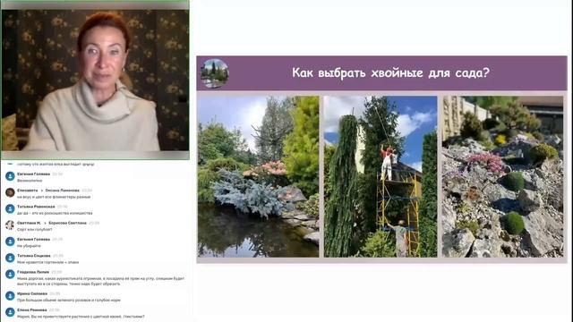ГАРМОНИЧНЫЙ САД С ХВОЙНЫМИ