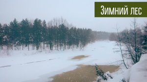 Лес, зима, снег, костёр и конечно радио. Зимняя прогулка по лесу.