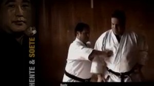 Secret technic Shotokan Shadow of  the Tiger Albert Boutboul