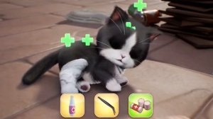 This cat game is super addictive！【Kitten Match】ep42