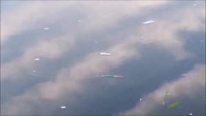 РЫБАЛКА , Водосброс, река Воронеж, мкр. Шилово, 27.05.2023 года