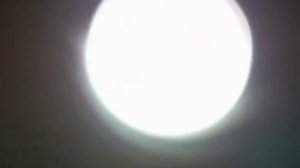 Самые опасные хищники Африки