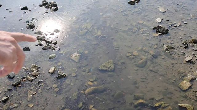 Прогулка по пляжу 15.10.22 || Спокойное, теплое море || Прощанье с морем