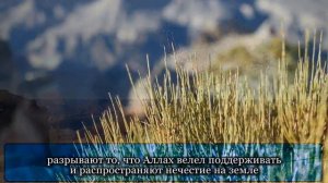 Мухаммад аль Люхайдан   Сура 2 «АЛЬ БАКАРА» «КОРОВА»,26 29