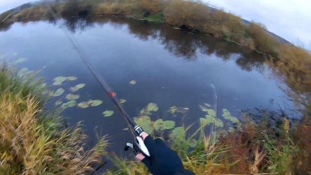 Китайский Balisong 100