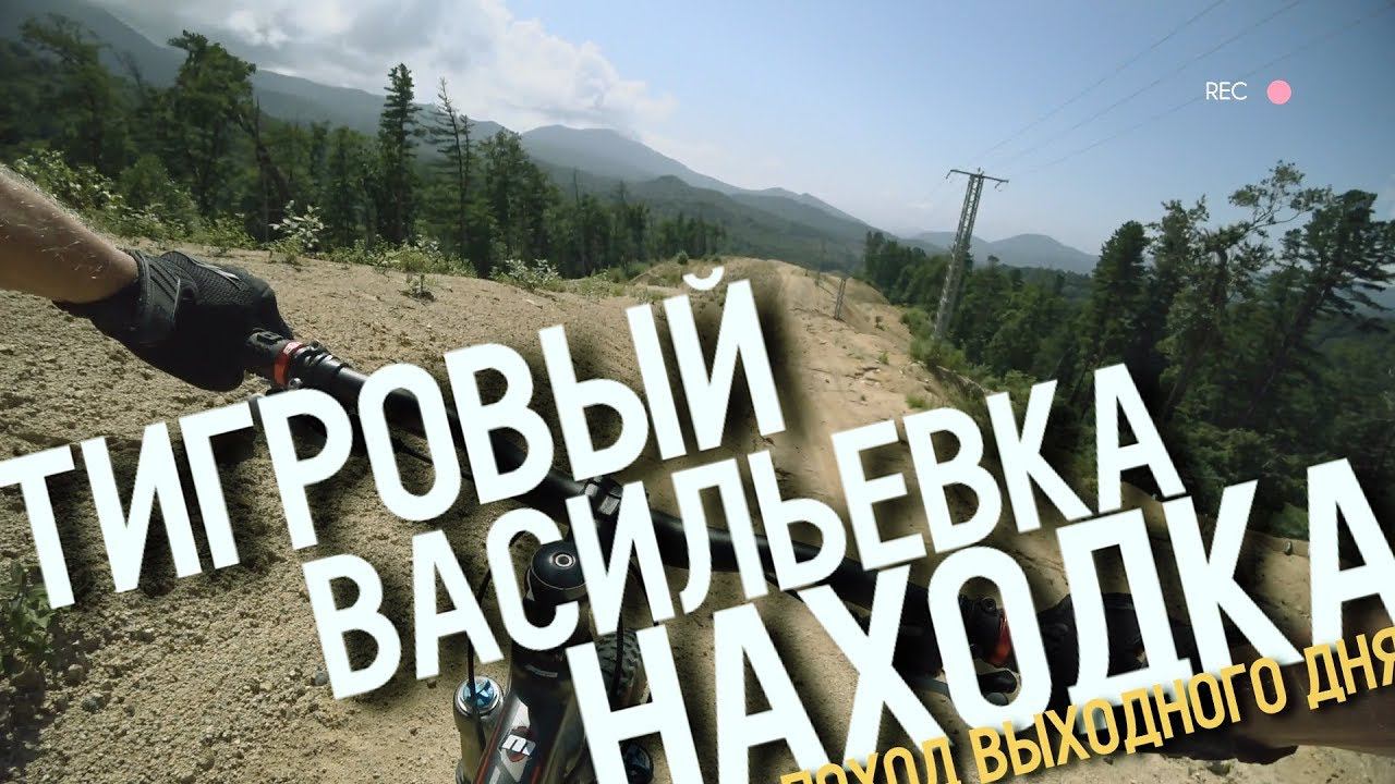 ТИГРОВЫЙ | ВАСИЛЬЕВКА | НАХОДКА | 19/08/17