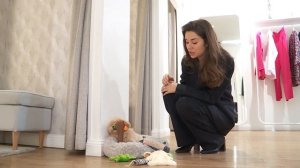 Мультипу: о характере породы и особенностях ухода