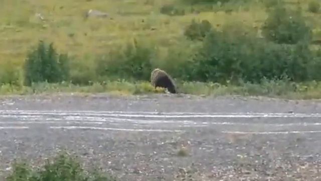 В Дудинке летом! смотреть онлайн