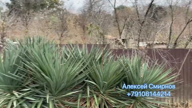 Краснодарский край, г. Сочи, с. Нижнее Учдере, пер. Атарбекова #землявсочи