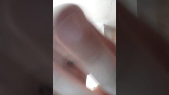 Увиличение сложности террарии старой версии смотреть онлайн