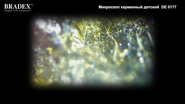 Микроскоп карманный детский Bradex DE 0177 смотреть онлайн