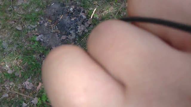 охотник на клещей!!!(БЕЗУМНОЕ множество в Беларуси) смотреть онлайн