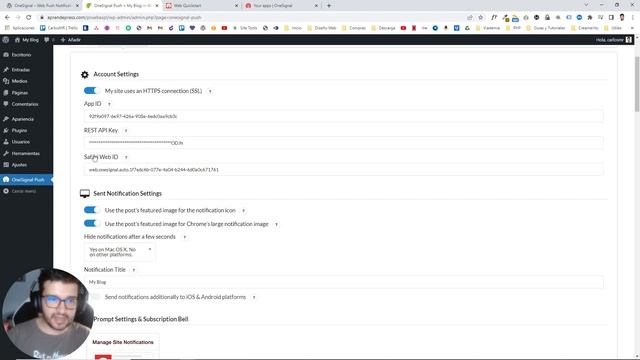 Cómo enviar Notificaciones Push en WordPress - Tutorial plugin OneSignal Web Push Notifications смотреть онлайн